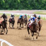 競馬の予想について