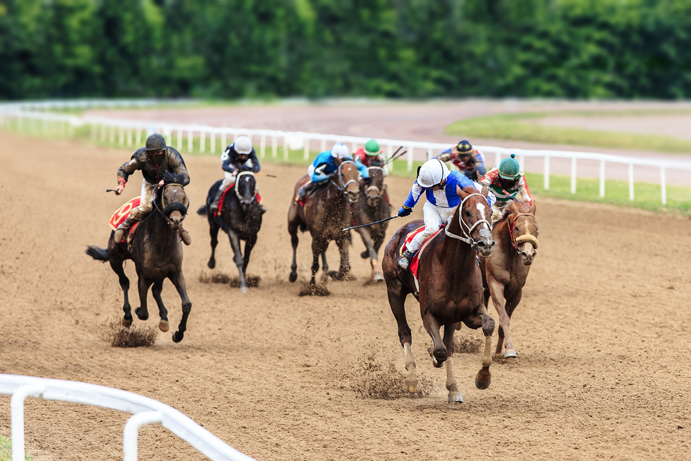 競馬の予想について