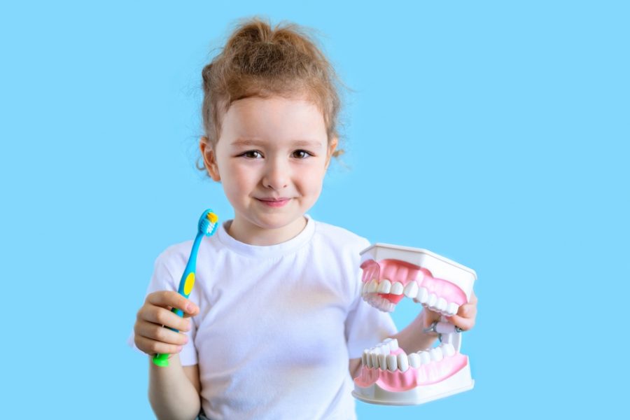 子どものときから始めたい歯科医院の予防措置